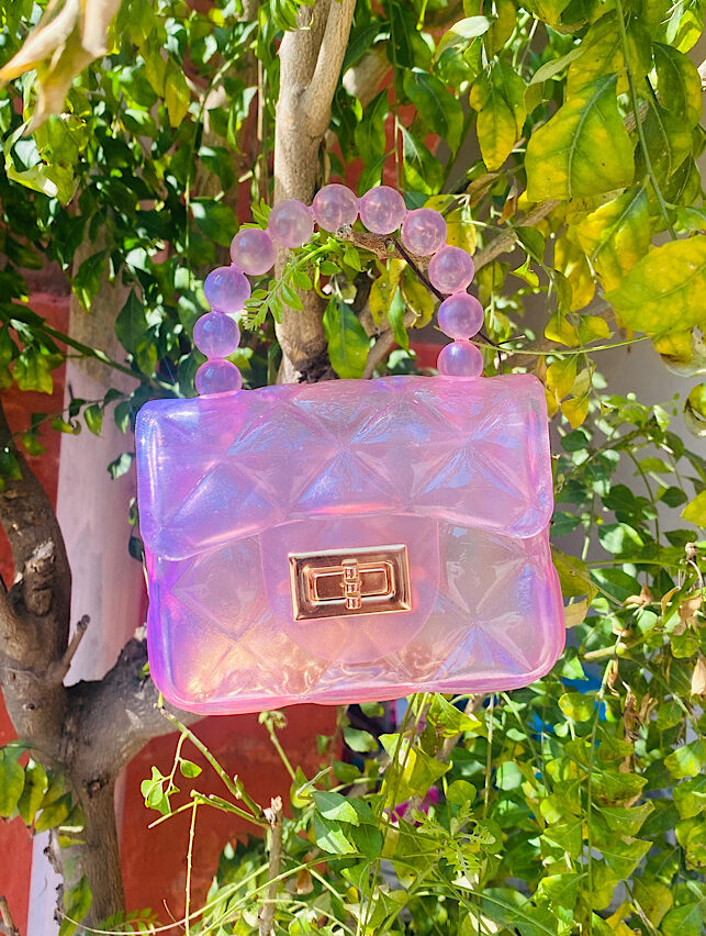 Stylish Bags – Mini Transparent Bag Pink